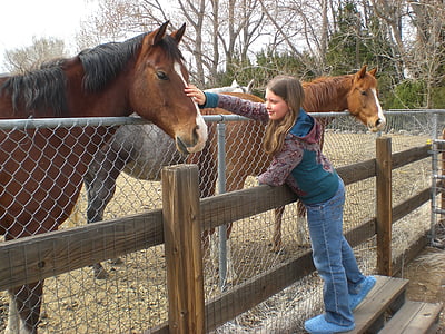 horse, girl, friends