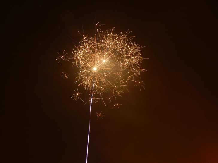 Silvester, Rakete, Tag des neuen Jahres, Feuerwerk, Pyrotechnik, Feuerwerk Rakete, Funkenregen