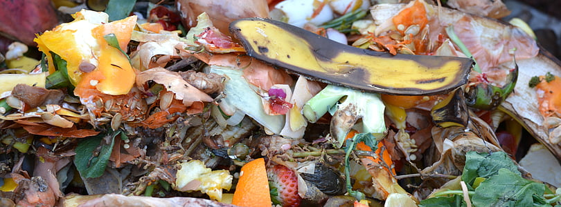 kompost, frugt og vegetabilsk affald, kompostering, bananskræl, mad, blad, efterår
