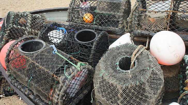 žvejybos tinklas, žuvis, žalia, tiesiog, Gamta, Spąstai, vandenyno