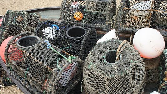 fishnet, fish, green, just, nature, traps, ocean