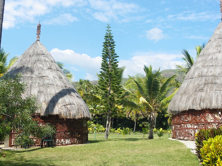 поле, Нова Каледонія, кокосове, Солома