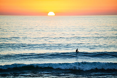 homem, prancha de surf, surf, pôr do sol, pessoas, natação, desporto