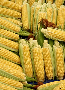 kukurydza, Kolby kukurydzy, warzywa, jedzenie, kukurydza na włosach cob, mais warzyw, popcorn