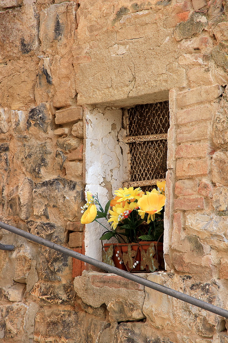 flors, nucli antic de finestra, vell, pintoresc, capsa de flors, bodegons, romàntic