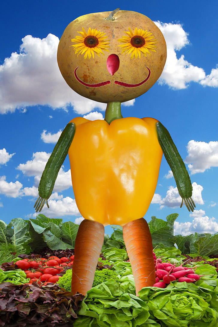 Kiitospäivä, vihannekset, Harvest, Syksy, salaatti, tomaatit, retiisit
