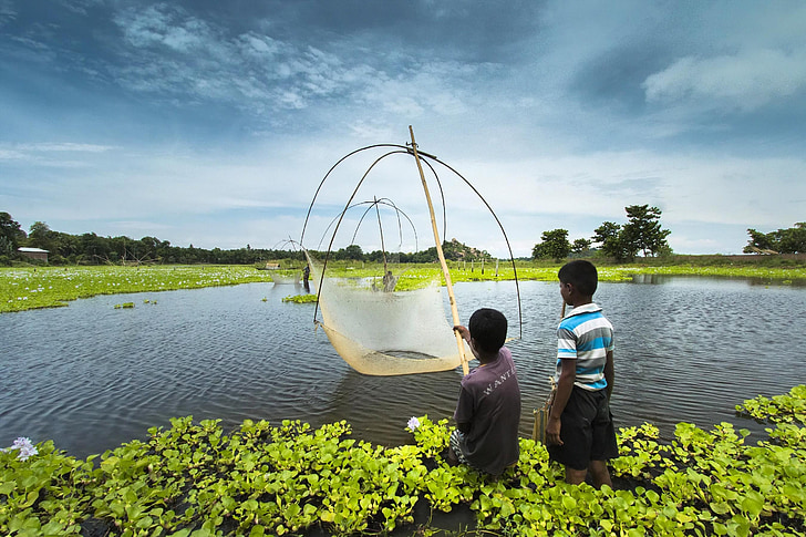 pesca, Assam, Índia, crianças, criança, água, rural