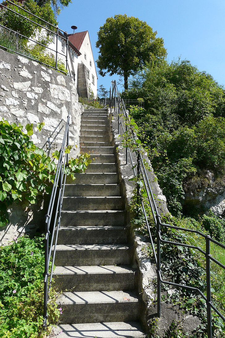 escaliers, Parc, vue, haute, mise à niveau, zone verte