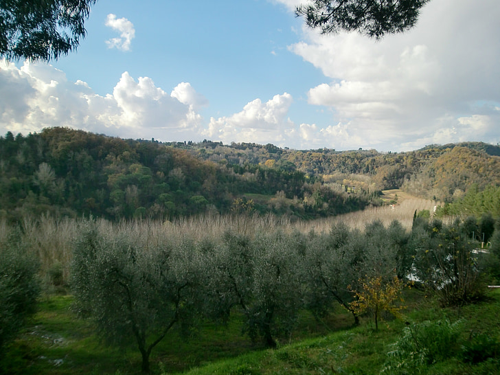 tuscany, italy, landscape, sky, idyll, nature, rest