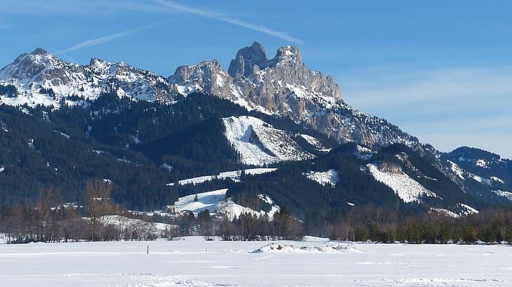 Tirolska, tannheimertal, rdeča flüh, gimpel, pozimi, sneg, nebo