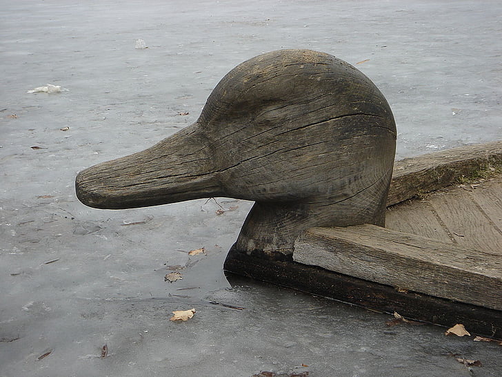 duck, bird, pond, imitation, wood, head