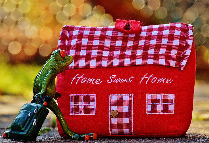 home, at home, arrive, frog, funny, trolley, fabric