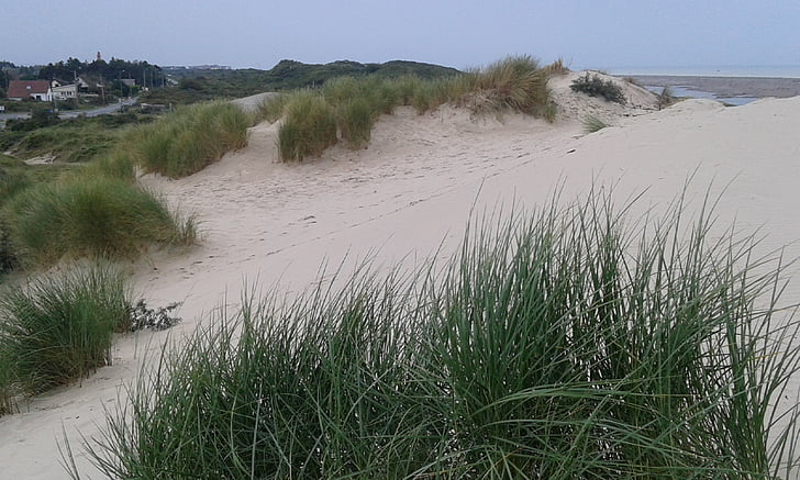 Dune, stranden, oyats