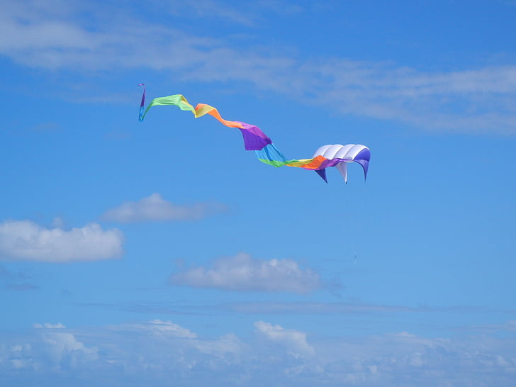 kite, blue sky, sky, play, flight, summer, wind