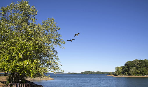 Lake, cảnh quan, bầu trời, nước, màu xanh, yên bình, phong cảnh