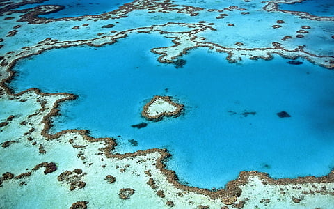 barriera corallina, cuore, forma, Isola, Coralli, Atollo, mare
