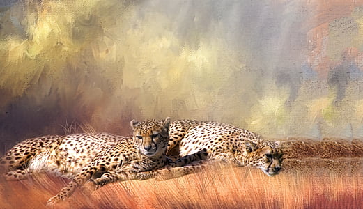 mèo lớn, hỗn hợp, mèo, chủ đề động vật, động vật hoang dã, một trong những động vật, Leopard