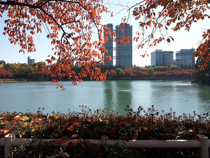 Lago de seokchon, Palacio del lago, otoño, hojas de otoño, Lago, las hojas, madera