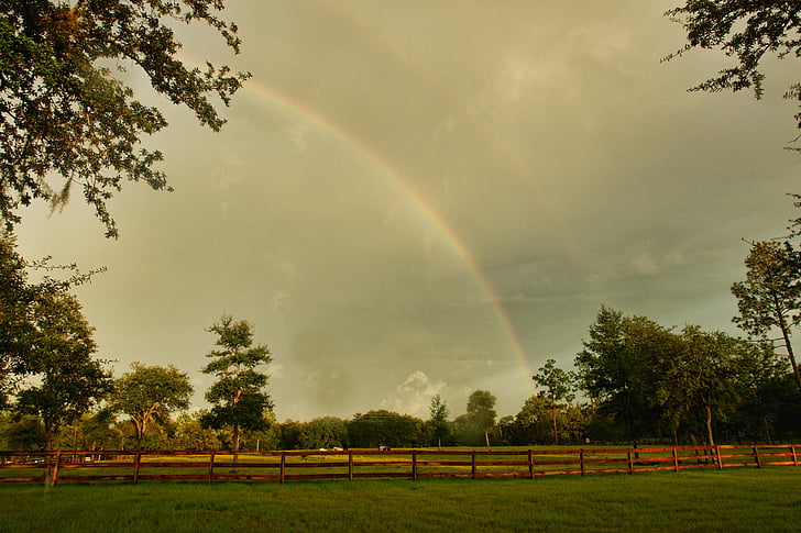 rainbow, farm, pasture, field, rural, green, grass