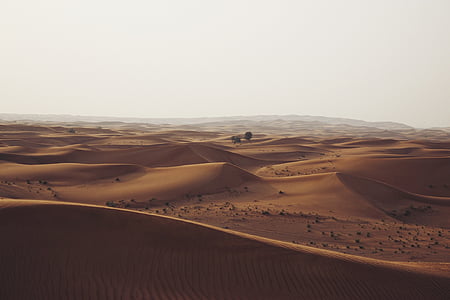 desierto, dunas de arena, arena, seco, caliente, África, naranja