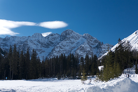 tatry, mountains, winter in the mountains, sky, view, forest