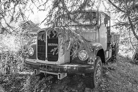 truck, old, old truck, commercial vehicle, retro, bush, wreck