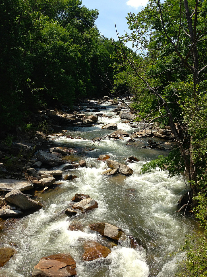 Dupont bos, rivier, stroomt, Rapids, North carolina