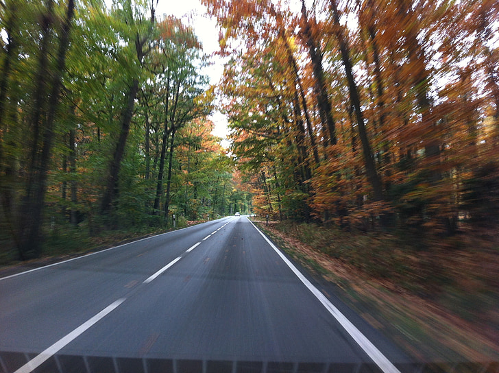 estrada, Outono, velocidade, estrada, dirigindo um carro, Dirigir