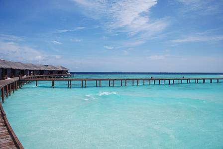στη θάλασσα, Μαλδίβες, θέα, παραλία, λευκή άμμο, ξύλινη προβλήτα