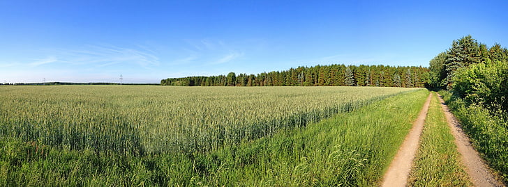 Lane, veld, weg, natuur, landschap, Panorama, rand van het bos