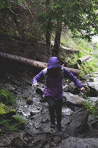 adventure, girl, hike, hiking, landscape, logs, outdoors
