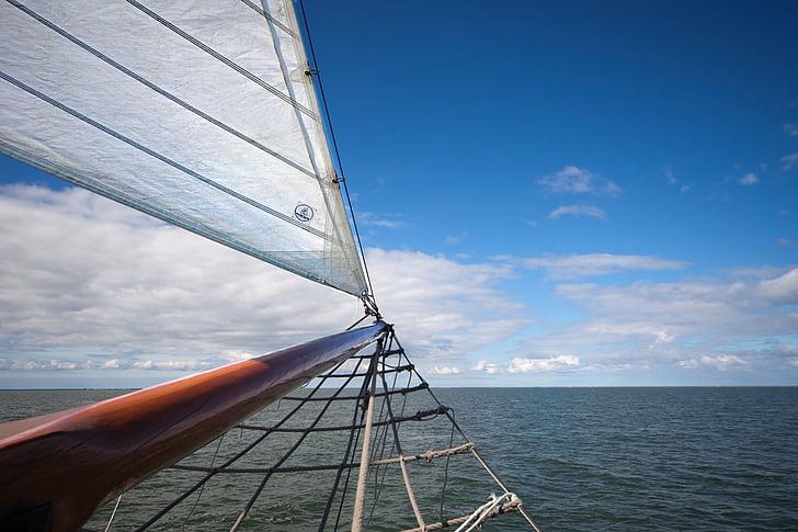 sea, boot, sail, horizon, water, mast, shipping
