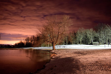 Danau, pohon, musim dingin, salju, merah, cahaya, malam