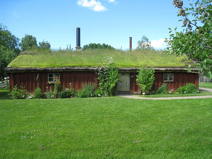 casa, gramado, flores, telhados de grama, céu, nuvem, Suécia