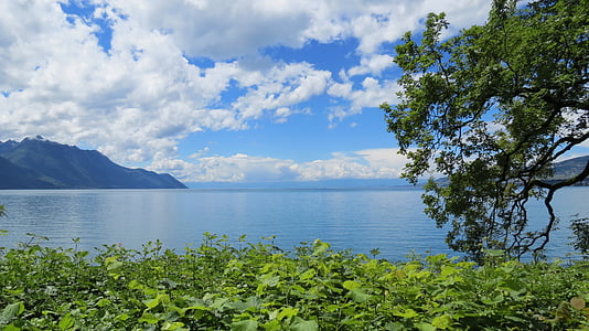 Ženevské jezero, Ženeva, Švýcarsko, Swiss, jezero, voda, krajina