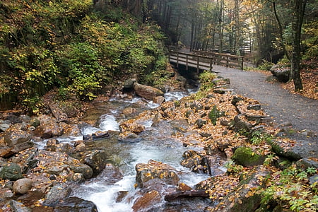 Herbst, Bach, fallen, Laub, Blätter, Stream, Trail