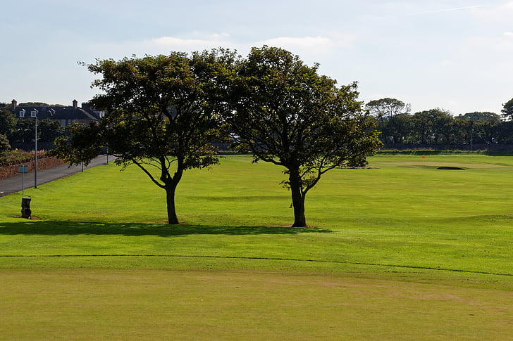 Golf, kurssi, maisema, puut, ruoho, maisemat, vihreä