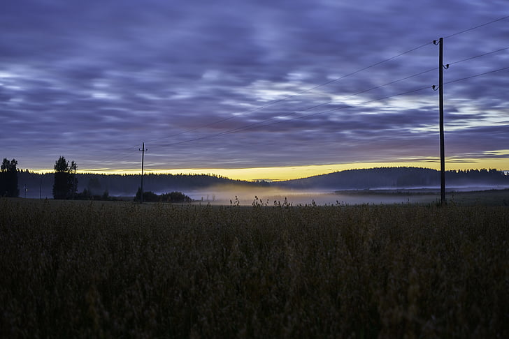 dawn, dusk, farm, field, landscape, mist, outdoors