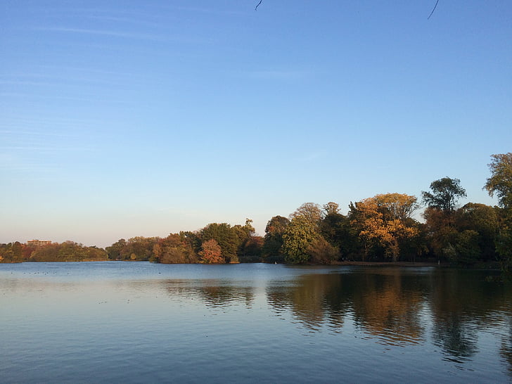 Prospect park, sjön, Brooklyn, naturen, träd, hösten, Utomhus