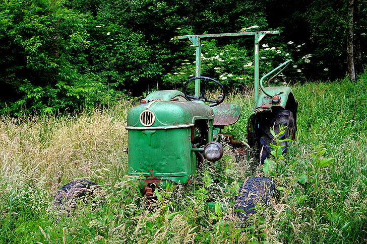 traktori, põllumajandus, Traktorid, hoolduses, sõiduki, loodus, vana