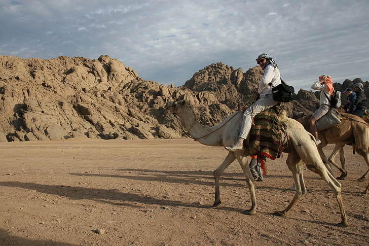 Египет, Приключенски, Камила, пустиня, Африка, езда, бедуин