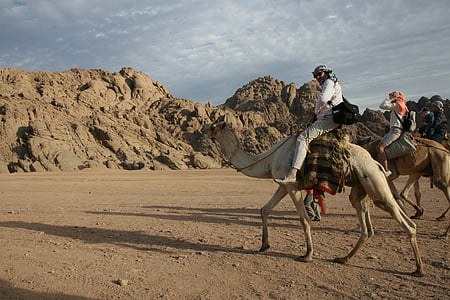Egitto, avventura, cammello, deserto, Africa, equitazione, beduino