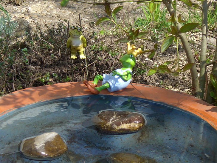bird bath, water, pebbles, frog prince, toad, nature