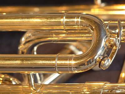 euphonium, Brass instruments, instruments, lapa, mūzika, mūzikas instruments, taure