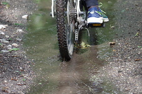 bicicleta, piscina, passeio, roda, molhado