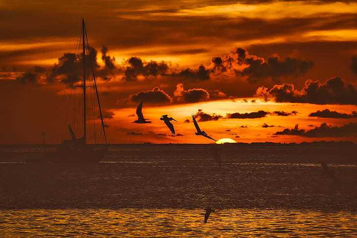 sunset, dusk, fishing boat, ship, birds, gulls, seagulls