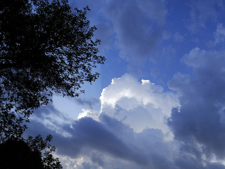 clouds, stormy, bright, trees, nature, sky