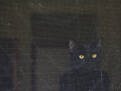 chat, écran, yeux, art, regard, chat noir, animaux de compagnie