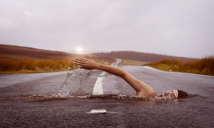 นักว่ายน้ำ, กีฬา, ว่ายน้ำ, น้ำ, จังหวะว่ายน้ำ, มนุษย์, ถนน
