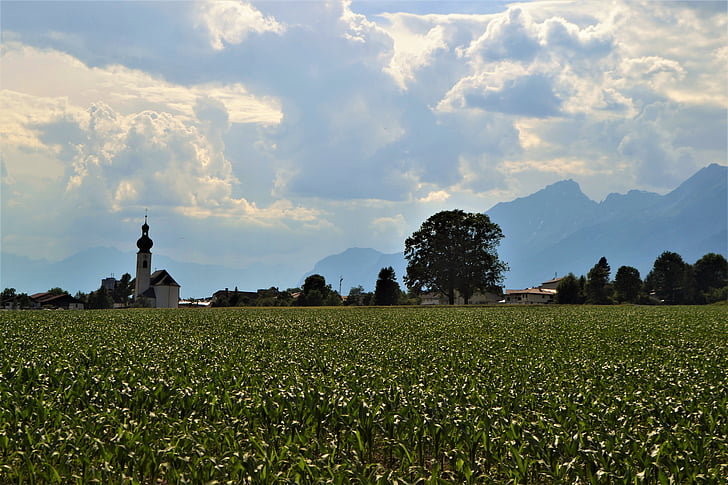Kościół, Austria, Tyrol, Kaplica, łąka, Rolnictwo, Natura